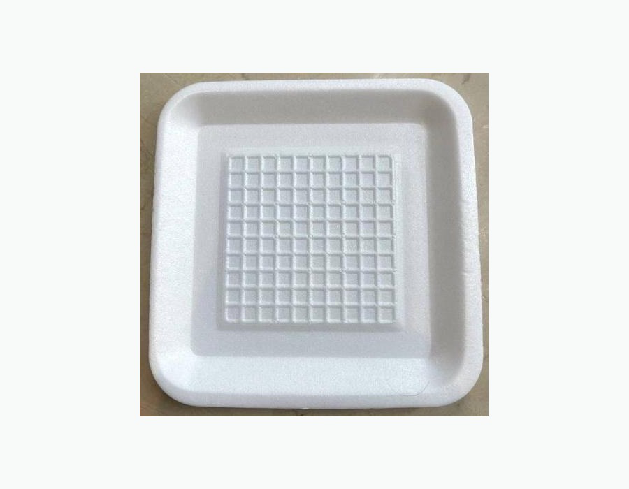 Foam food container